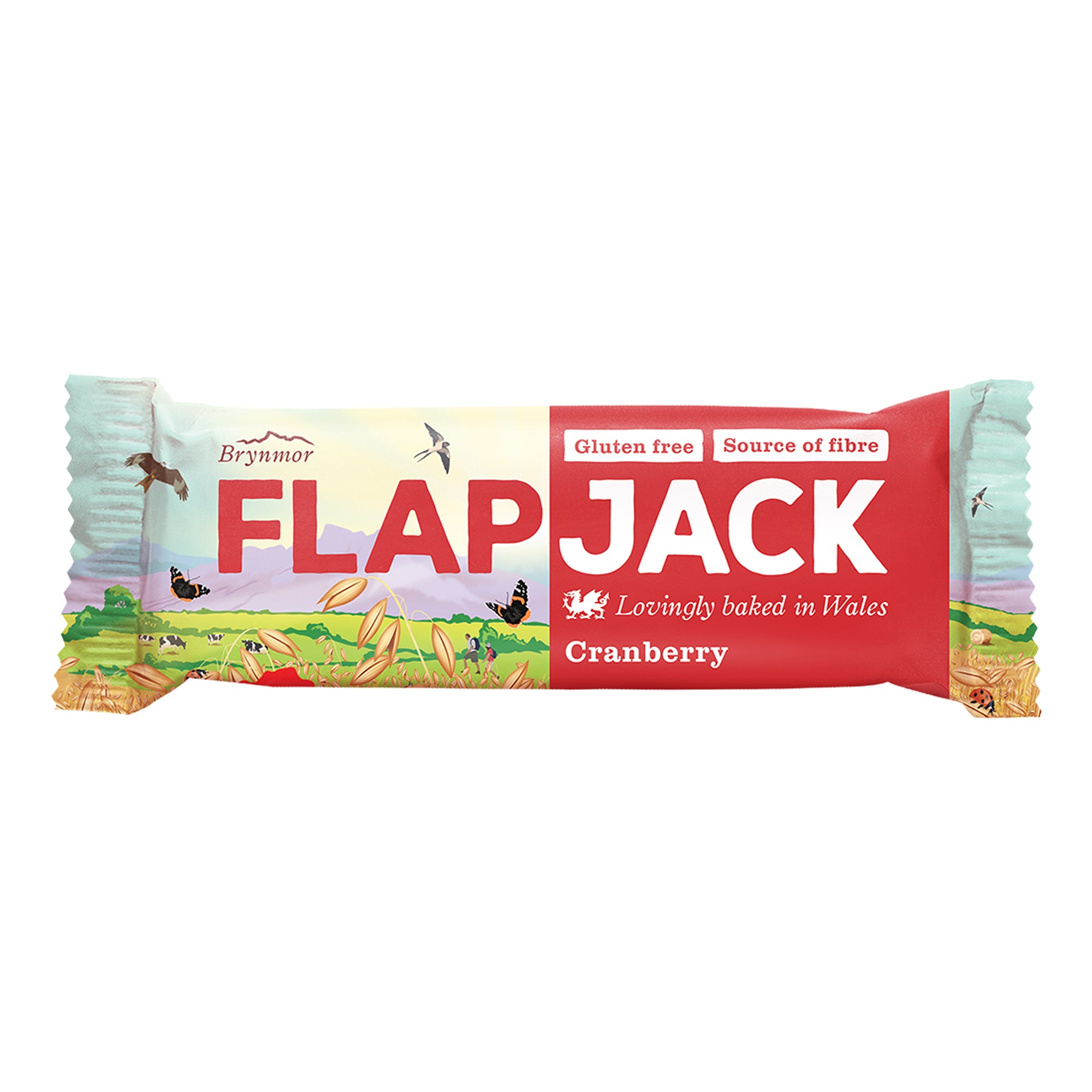 Brynmor Gluten Free Flapjack Cranberry 20 x 80g