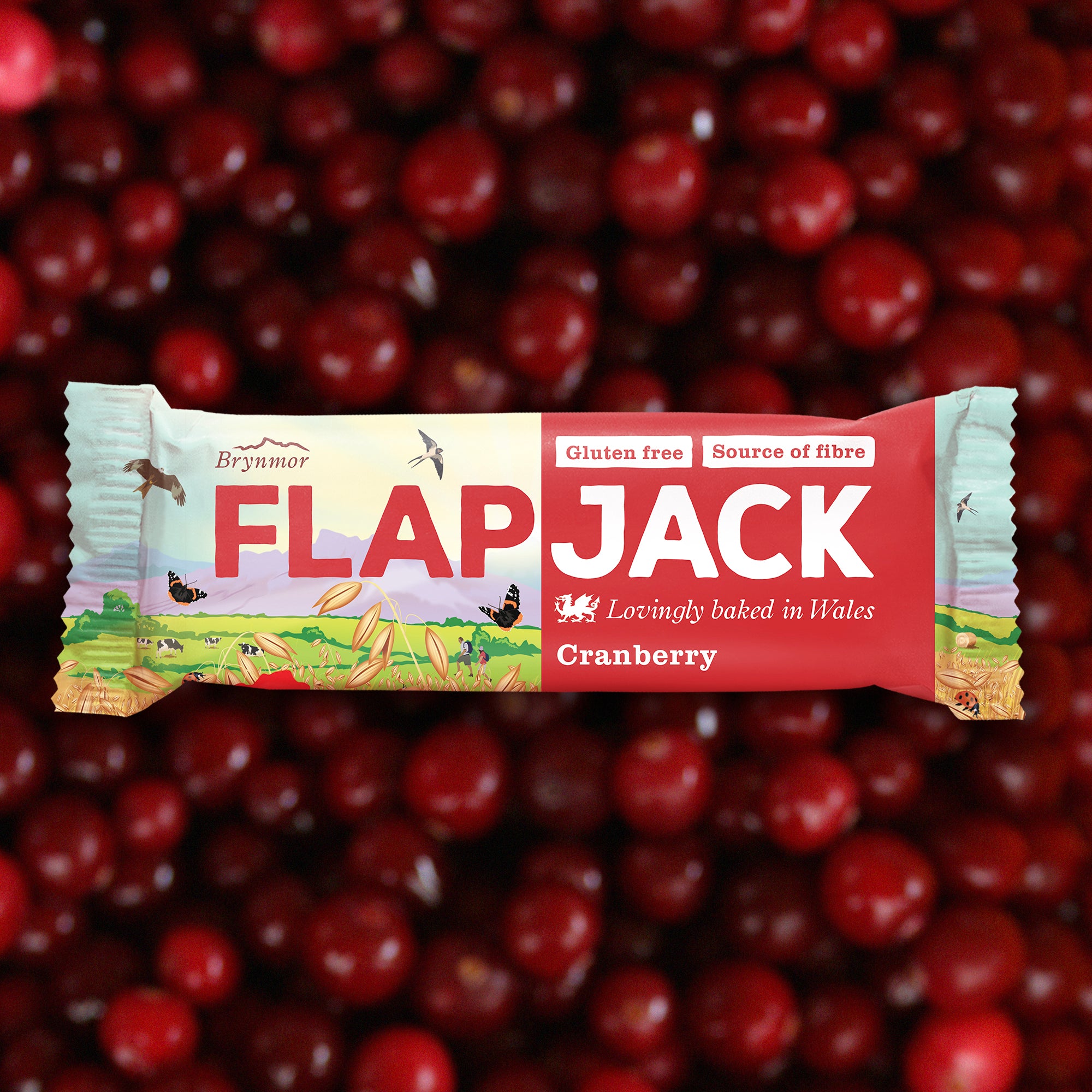 Brynmor Gluten Free Flapjack Cranberry 20 x 80g