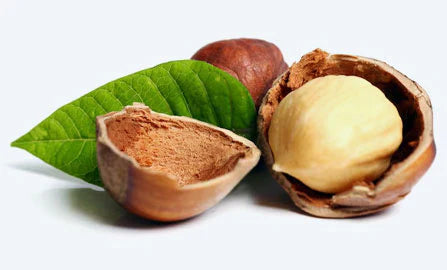 natua! Fruit & Nut Balls Brownie 12 x 28g