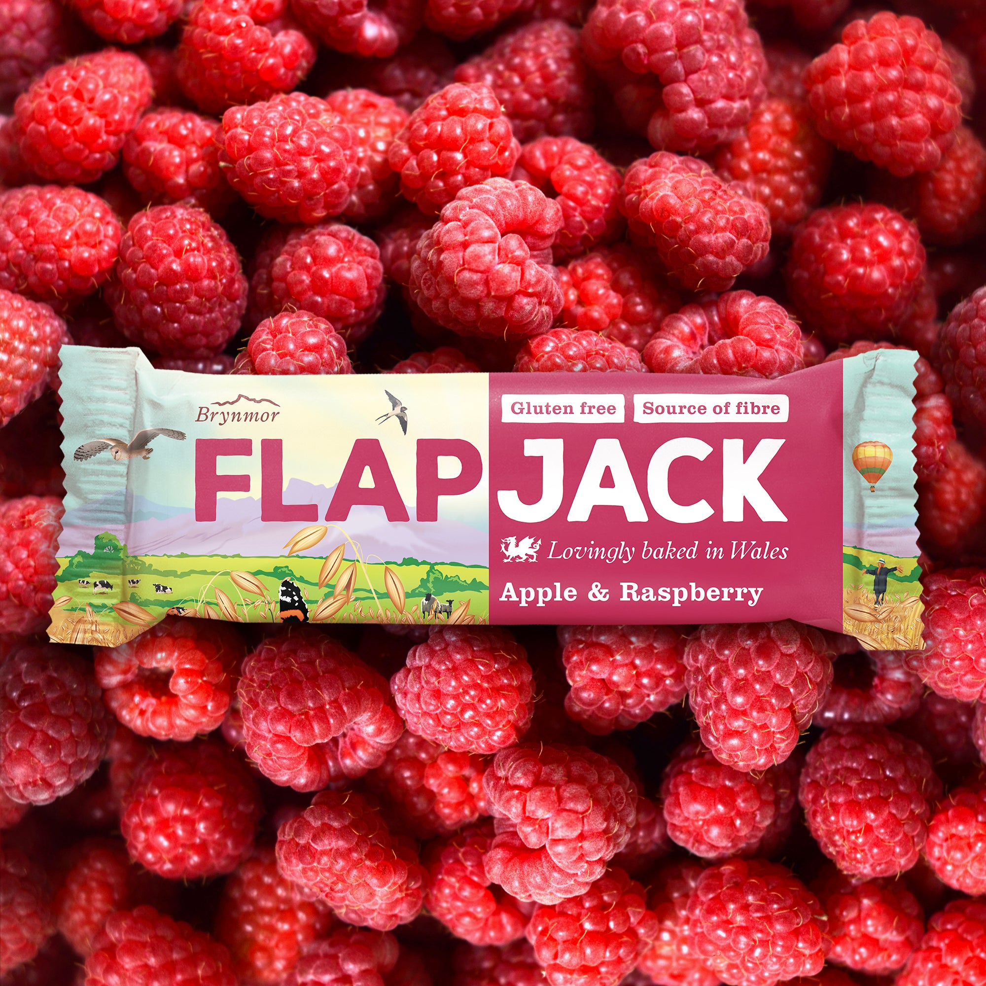 Brynmor Gluten Free Flapjack Apple & Raspberry 20 x 80g